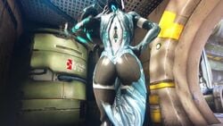 banshee_(warframe) banshee_soprana female robot warframe