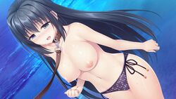 1girls 8:7 akizora_momiji asanokawa_sora beach bikini bikini_bottom black_hair blue_eyes blue_hair blue_hair_female blush breasts clenched_hand collar collarbone dutch_angle female game_cg hataraku_otona_no_ren'ai_jijou_2 large_breasts leash long_blue_hair long_hair long_hair_female navel night nipples non-web_source official_art open_mouth outdoors public_topless side-tie_bikini solo swimsuit topless waist_length_hair wet