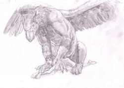 2008 anal anal_sex ass avian belly big_dom_small_sub dominant duo erection feral feral_penetrating genitals gryphon hair human jeri_kleinlowe male male/male male_penetrating mammal mythological_avian mythological_creature mythology nude nude_male penetration penis questionable_consent simple_background size_difference traditional_media_(artwork) white_background wings zoophilia