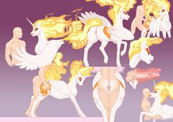 1boy 1girls 2017 alicorn anatomically_correct anatomically_correct_anus anatomically_correct_pussy animal_anus animal_genitalia animal_pussy anus arareroll ass clitoris crotchboobs cum cum_in_pussy cum_in_uterus cum_inside cutie_mark daybreaker_(mlp) duo equine equine_anus equine_pussy feathered_wings feathers female female_focus female_penetrated feral friendship_is_magic furry hi_res hooves horn human human_on_feral human_penetrating internal interspecies kissing licking male male_human/female_feral male_on_feral male_penetrating mammal my_little_pony nude penetration penis princess_celestia_(mlp) pussy sex smile thick_thighs tongue tongue_out underhoof uterus vaginal_penetration wide_hips wings zoophilia