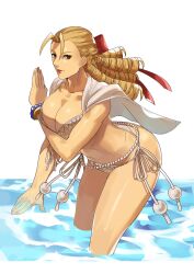 karin kanzuki from street fighter