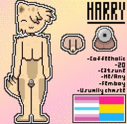 .3 1boy 1femboy 1furry :3 alternate_version_available androgynous animal_genitalia blush cat_boy cat_ears catboy catsune chastity_cage chastity_device close-up close_up closed_eyes english_text femboy femboy_only flat_chastity_cage fox_tail full_body fur furry furry_only genitals harry_(sh4rdz) kitsune_tail male male_only markings one_eye_covered original original_character pansexual_flag penis pixel_(artwork) pixel_art pride_flag pronouns reference reference_sheet self_insert self_upload sh4rdz_(artist) small_penis tagme text thick thighs