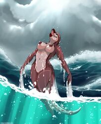 breasts cetacean danji-isthmus dolphin female mammal marine no_humans pussy scalie sea swim water wet