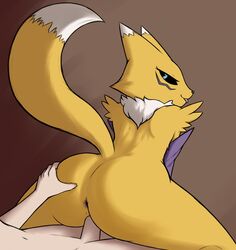 anthro anus ass blue_eyes digimon digimon_(species) duo female human human_on_anthro interspecies kierus looking_back male mammal penetration renamon sex simple_background smile tongue tongue_out vaginal_penetration vaginal_penetration video_games