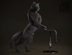 3d animal_genitalia anthro black_fur black_nose canine chair claws cosmiclife feral fur male mammal penis pinup pose realistic romeo_(cosmiclife) semi-anthro sheath solo standing stool teeth wolf