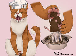 2016 blush chef_hat claws cum cum_inside edit feline feral fruit_juicer hat mammal mouse mushbun one_eye_closed open_mouth paws rodent size_difference text watermark what