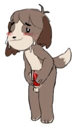 1boy animal_crossing anthro cum digby_(animal_crossing) male male_only nintendo nozoku nude penis solo sweat video_games