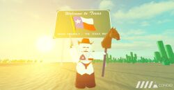 Texas Flag Rule 34 Image