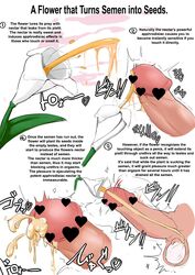 censored disembodied_penis flower heart heart_censor motion_lines no_humans penis plant signum_(nanohanano77) simple_background translated trembling urethral_insertion what white_background x-ray