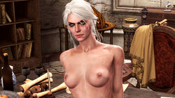 The Witcher (Series) Rule 34 Image