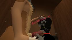 2boys animal_genitalia animal_penis balls furry furry_only gay gay_blowjob head knot knotted_penis mayu_(vrchat) mayu_species nothing_n oral oral_sex rexouium smaller_male