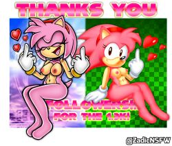 2girls accurate_art_style amy_rose anthro anthro_focus black_eyes black_nose breasts classic_amy_rose closet_eyes eyelashes female female_anthro female_focus girly_girl gloves hairband hedgehog hedgehog_girl middle_finger mobian_(species) no_panties no_underwear on_model pink_body pink_fur pink_hair pink_tail plump_ass presenting sega smile sonic_(series) sonic_team style_parody thinthick_thighs uekawa_style zadicnsfw