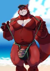 ailurid anthro bulge clothing daiquiri_(daiquiripanda) genitals hat headgear headwear hi_res laced_underwear looking_at_viewer male mammal outside penis red_panda solo taoren underwear