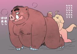 2019 anal anthro balls belly blush boar canine duo japanese_text male male_focus mammal nipples oral overweight overweight_male penis porcine rimming sex simple_background text wantaro