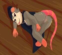 5_fingers american_opossum anthro anus ass bent_legs biped bodily_fluids dripping_pussy female fingers floor fur genital_fluids genitals grey_body hi_res humanoid_genitalia humanoid_pussy looking_at_viewer lying mammal marsupial multicolored_body multicolored_fur on_ground on_side open_mouth possum_shopkeeper_(webfishing) presenting presenting_hindquarters presenting_pussy pussy smile solo soupslop tail vaginal_fluids virginia_opossum webfishing white_body white_fur