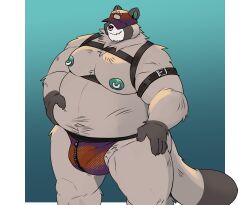 2024 anthro balls belly big_belly bulge canid canine clothing facial_piercing genitals grey_body hat headgear headwear hi_res kemono male mammal moobs nipples nose_piercing nose_ring overweight overweight_male piercing raccoon_dog realiron_(artist) ring_piercing solo tanuki underwear