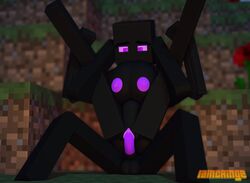 1boy 3d enderman enderwoman endie_(mutantnight) female iamcringe minecraft monster monster_girl outdoors penetration penile_penetration penis penis_in_pussy purple_eyes purple_penis purple_pussy pussy same_species sex tagme vagina vaginal vaginal_penetration vaginal_sex