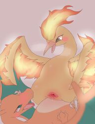 absurd_res animal_genitalia avian beak bird blush bodily_fluids charizard cloaca duo female feral fire gaping gaping_cloaca generation_1_pokemon genital_fluids genitals hi_res legendary_pokemon moltres nintendo orange_body pokemon pokemon_(species) simple_background teyuw_puppy wings