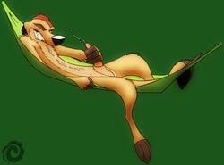 disney male_only meerkat penis tagme testicles the_lion_king timon weaselgrease