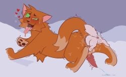 cloudtail (warriors) from warriors (book series) by deadingdog