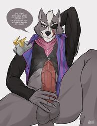 wolf from nintendo by repzzmonster
