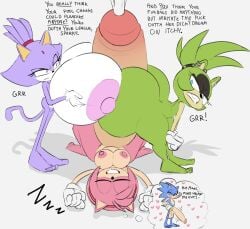 amy rose from sonic (series) by oogabutt