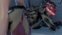 3d animated ass bent_over female female_humanoid grandmastersurgeon human_male male male_on_humanoid nude_male sound tagme video voruna_(warframe) warframe warframe_(species)