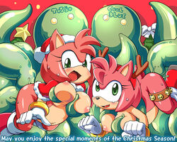 amy_rose breasts christmas coolblue female_penetrated nipples pink_body pregnant restrained santa_hat sonic_(series) sonic_the_hedgehog_(series) stomach_bulge tentacle tojyo vaginal_penetration