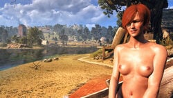 3d areolae beach breasts cd_projekt_red female female_only nipples outside red_hair shani solo the_witcher the_witcher_(series) the_witcher_3:_wild_hunt xpsfm yellow_eyes