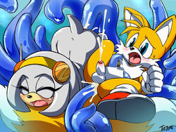 anal balls chaos_(sonic) cum cum_in_ass foreskin male_penetrated penis restrained sonic_(series) tails tentacle tojyo zeta_the_echidna zetar02