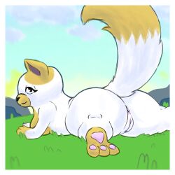 1:1 adventure_time anthro ass border breasts butt_focus c2d2 cake_the_cat cartoon_network cloud colored digital_media_(artwork) female fluffy fluffy_tail genitals grass looking_at_viewer lying multicolored_body plant pussy rock sky solo tail two_tone_body white_body