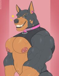 anthro bara barazoku canine collar dobermann domestic_dog furry male male_only muscles muscular nipple_piercing solo solo_male tylerstark