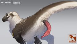 2019 animal_genitalia ass beak cloaca dakotaraptor dinosaur erection feathered_dinosaur feathers feral fur male male_only nude penis qwertydragon reptile saurian scalie solo theropod unusual_penis