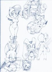 amy_rose blaze_the_cat colono cream_the_rabbit furry lien-da marine_the_raccoon multiple_girls rouge_the_bat sally_acorn sega sonic_(series) traditional_media_(artwork)