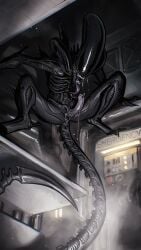 2024 20th_century_fox 20th_century_studios alien alien_(franchise) alien_genitalia anthro black_body bodily_fluids detailed digital_media_(artwork) drooling erection eyeless genital_fluids genitals hanging_from_ceiling hi_res humanoid licking light_from_below long_tongue male male_xenomorph maxspite nude open_mouth oral penile penis penis_lick phone_booth saliva sex sharp_tail solo tail teeth tongue xenomorph