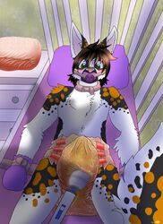 anthro biped bondage diaper domestic_cat emeritusterciel erection erection_under_diaper feces felid feline felis fur hair hybrid lagomorph male mammal messy_diaper navel rabbit scat sex_toy soiling solo urine vibrator watersports wet_diaper wetting