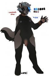 anthro black_fur blood bracelet canid canine collar flaccid fur grey_fur jewelry male mammal model_sheet navel nipples nosebleed overweight penis raccoon_dog solo solo_male zamzi