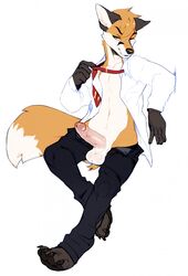 5_fingers anthro balls canid canine clothing dress_shirt erection fox fur humanoid_penis jeans male male_only mammal necktie orange_fur pants penis shirt solo solo_male undressing white_fur zamzi