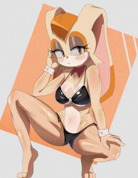 vanilla the rabbit from sega by god1annie