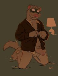 anthro balls bottomless clothed clothing erection ferret foreskin fur grey_fur humanoid_penis kneeling male male_only mammal mustelid orf penis solo uncut undressing