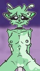 animal_ears animated antennae breasts choker cowgirl_position dildo dildo_riding fluffy furry furry_female gnarpies highres looking_up nipples non-web_source nude open_mouth riding sex_toy stomach_bulge