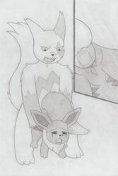 chubby duo eevee female furry infamousrel interspecies male markings monochrome nintendo open_mouth penetration penis pokémon_(species) pokemon pokemon_(species) pussy pussy_juice saliva sex size_difference stomach_bulge straight tears vaginal_penetration video_games zangoose