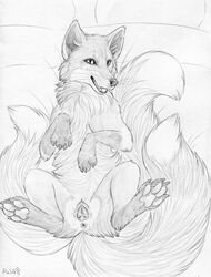 2019 animal_genitalia animal_pussy anus canid canine canine_pussy female feral fox hindpaw looking_at_viewer lube lying mammal multi_tail on_back paper-wings paws pussy sketch solo spread_legs spreading