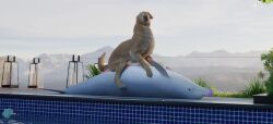 3d_(artwork) 3d_animation anal animated bird_dog bondage bondage bound bound_rostrum canid canine canis cetacean cowgirl_position digital_media_(artwork) dolphin domestic_dog duo feral feral_on_feral from_front_position genitals golden_retriever hunting_dog light_bondage loop male male/male mammal marine on_bottom on_top penis pool realistic_feral retriever sex short_playtime sound tagme toothed_whale trioami260 video video