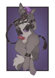 animal_genitalia animal_penis anthro balls blush bondage bound canid canine canine_genitalia canine_penis canis claws closed_eyes collar erection eyewear front_view fur genitals glasses grey_body grey_fur hair harness hi_res leash leashed_collar male mammal muzzle_(object) muzzled penis purple_claws purple_hair rectangular_glasses s0ph0s seraphictiger sheath solo tail wolf
