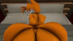 16:9 3d_(artwork) 3d_animation anal anal_sex animated anthro ass athletic athletic_male bed big_ass big_butt bottom_heavy canid canine digital_media_(artwork) doggy_style eulipotyphlan femboy first_person_view fox from_behind_position furniture gay genitals hedgehog high_framerate hyper ironhawk looking_back looking_pleasured male male/male mammal no_sound offscreen_male penetration penile penile_penetration penis rear_view sega sex short_playtime solo_focus sonic_(series) sonic_the_hedgehog sonic_the_hedgehog_(series) tagme tail tails_the_fox video widescreen yaoi
