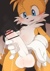 tails the fox from sega by manmosu marimo