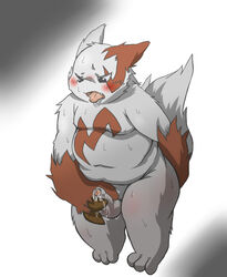 2010 anthro balls belly blush cum cute_fangs male male_only mammal masturbation navel nintendo overweight overweight_male penis pokémon_(species) pokemon pokemon_(species) rodemaru simple_background solo sweat tongue tongue_out video_games zangoose