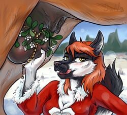 anthro anthro_on_feral ball_grab balls breasts canid canine canis cleavage clothed clothing danawolfin duo equine faceless_male female female_on_feral feral fur highres horse husky interspecies male mammal mistletoe outside plant portpeit solo_focus straight tongue tongue_out zoophilia