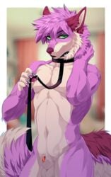 animal_genitalia anthro balls canid canine collar fox inside l-i-t-t-l-e_f-i-r-e leash looking_at_viewer male male_only mammal nude sheath solo standing